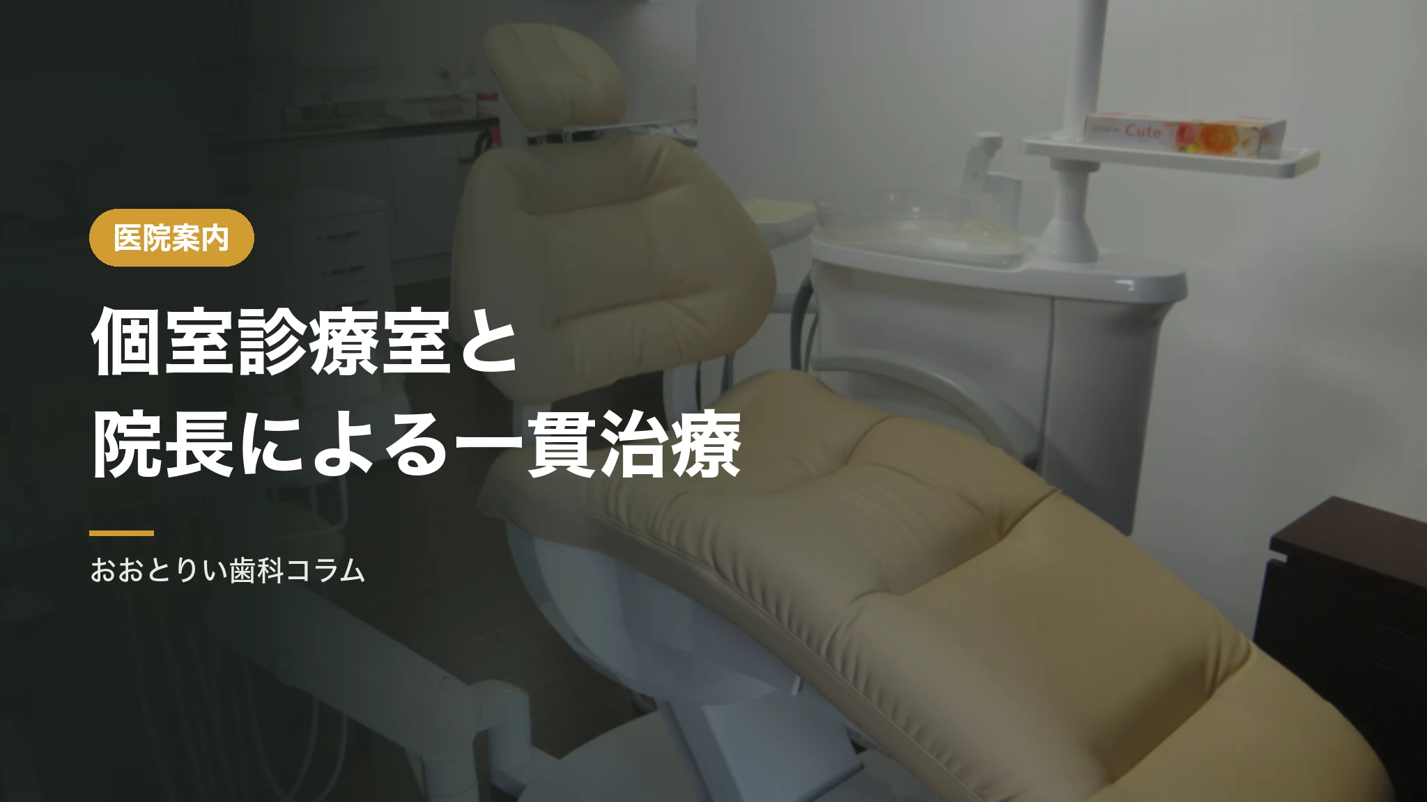 個室診療室と院長による一貫治療について